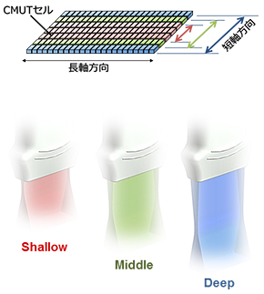 CMUTセルの配列 CMUTセルの配列