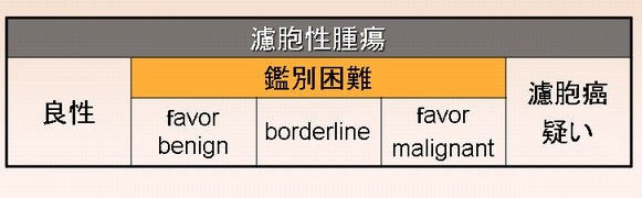 甲状腺濾胞性腫瘍 細胞診の判定基準 甲状腺濾胞性腫瘍 細胞診の判定基準