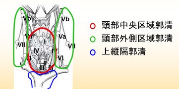 甲状腺のリンパ節 甲状腺のリンパ節