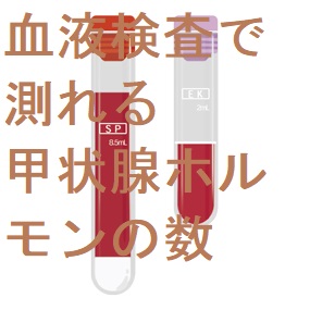 血液検査で測れる甲状腺ホルモンの数 血液検査で測れる甲状腺ホルモンの数