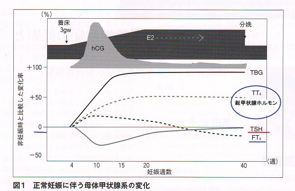 正常妊娠中の甲状腺ホルモン変化率 正常妊娠中の甲状腺ホルモン変化率