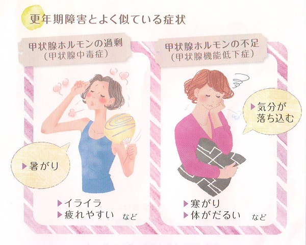 甲状腺の症状と似ている更年期症候群 甲状腺の症状と似ている更年期症候群