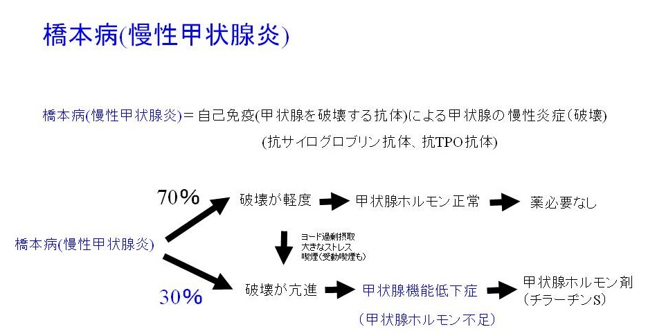 橋本病(慢性甲状腺炎)=甲状腺機能低下症ではありません。 橋本病(慢性甲状腺炎)=甲状腺機能低下症ではありません。