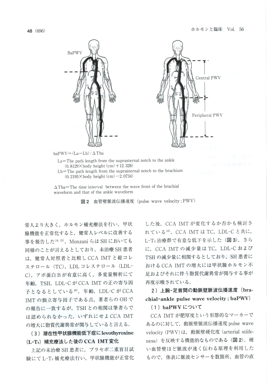 潜在性甲状腺機能低下症における動脈硬化3 潜在性甲状腺機能低下症における動脈硬化3