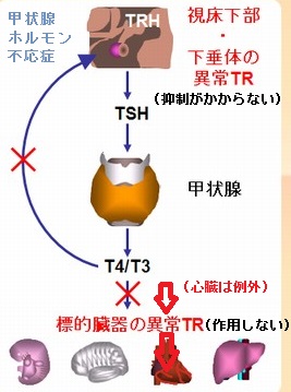 ネガティブフィードバック調節の破綻 ネガティブフィードバック調節の破綻