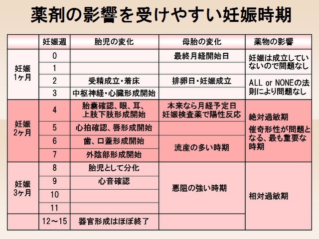 薬剤の影響を受けやすい妊娠時期 薬剤の影響を受けやすい妊娠時期