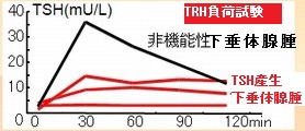 TRH(TSH放出ホルモン)負荷試験 TRH(TSH放出ホルモン)負荷試験