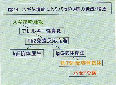花粉症と甲状腺機能亢進症/バセドウ病は共通免疫 花粉症と甲状腺機能亢進症/バセドウ病は共通免疫