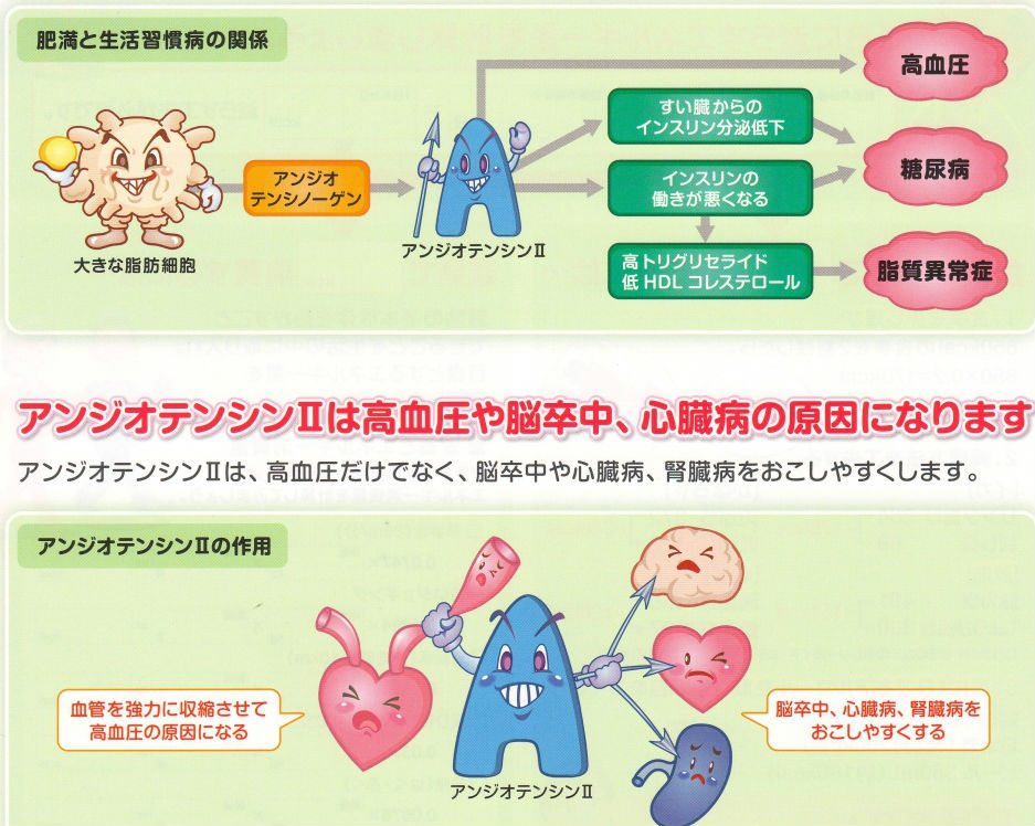 新検査:アンジオテンシンⅡ
