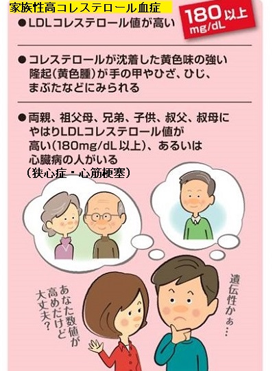 家族性高コレステロール血症 家族性高コレステロール血症
