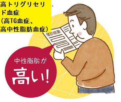 高トリグリセリド血症(高TG血症、高中性脂肪血症) 高トリグリセリド血症(高TG血症、高中性脂肪血症)
