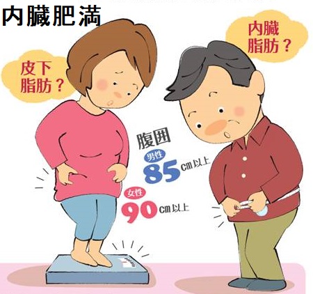 肥満症とメタボリック症候群の原因・内臓脂肪 肥満症とメタボリック症候群の原因・内臓脂肪