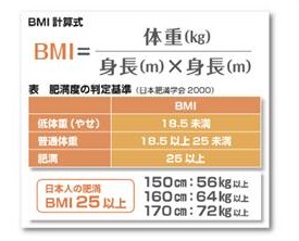 肥満症とメタボリック症候群の原因・内臓脂肪 肥満症とメタボリック症候群の原因・内臓脂肪