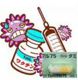 甲状腺と免疫力・インフルエンザ 甲状腺と免疫力・インフルエンザ