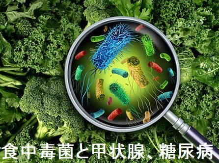 食中毒菌と甲状腺、糖尿病 食中毒菌と甲状腺、糖尿病