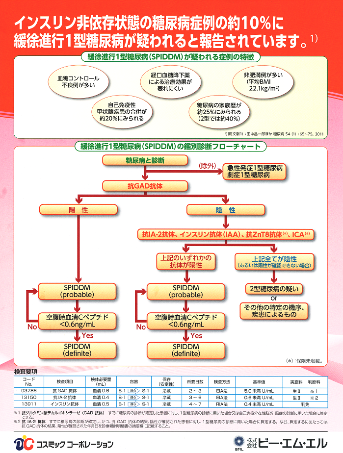緩徐進行1 型糖尿病(SPIDDM) 緩徐進行1 型糖尿病(SPIDDM)
