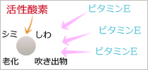 ビタミンE ビタミンE