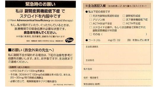 副腎皮質ホルモンカード 副腎皮質ホルモンカード