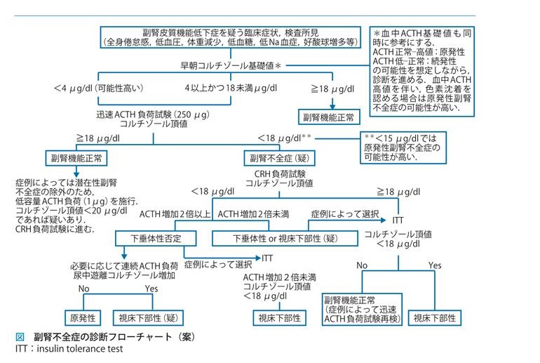 副腎不全症の診断フロ-チャート(案) 副腎不全症の診断フロ-チャート(案)
