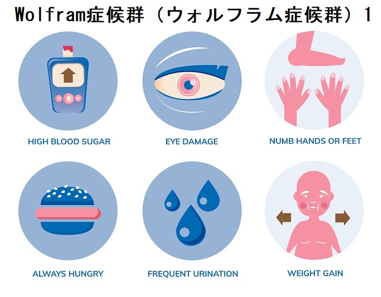 ウォルフラム症候群1 ウォルフラム症候群1