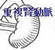 重複腎動脈 重複腎動脈