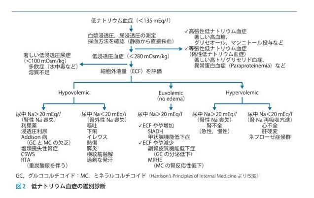 低ナトリウム血症 鑑別 低ナトリウム血症 鑑別
