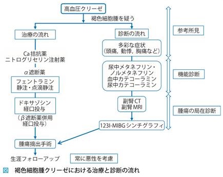 褐色細胞腫クリーゼ診断治療の流れ 褐色細胞腫クリーゼ診断治療の流れ