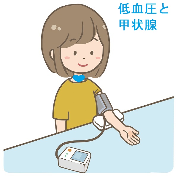 甲状腺と低血圧 甲状腺と低血圧