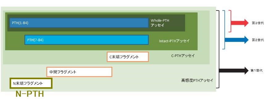 N-PTH N-PTH