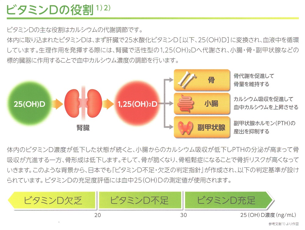ビタミンDの役割 ビタミンDの役割