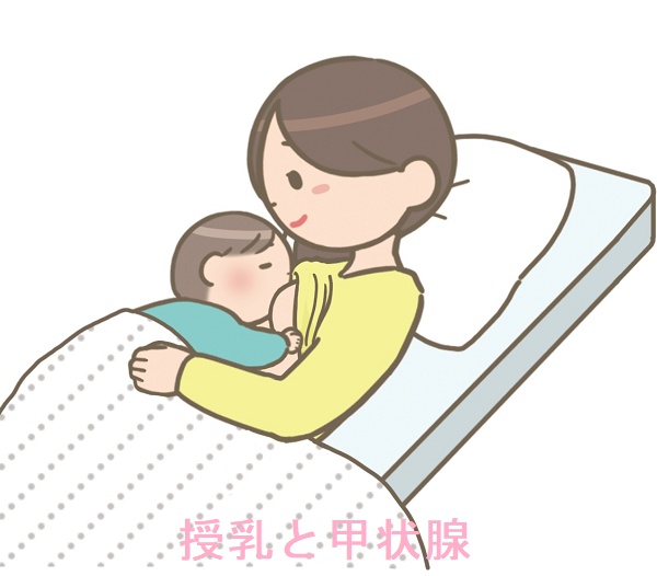 授乳と甲状腺 授乳と甲状腺