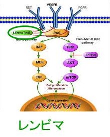 レンビマ レンビマ