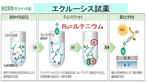 エクルーシス試薬 エクルーシス試薬