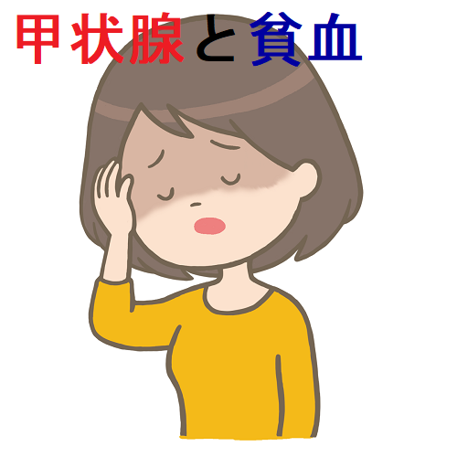 甲状腺と貧血,鉄欠乏性貧血[橋本病 バセドウ病 甲状腺機能低下症 甲状腺と貧血,鉄欠乏性貧血[橋本病 バセドウ病 甲状腺機能低下症