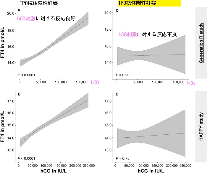 TPOAb陰性・陽性妊婦におけるhCGとFT4の関連 TPOAb陰性・陽性妊婦におけるhCGとFT4の関連