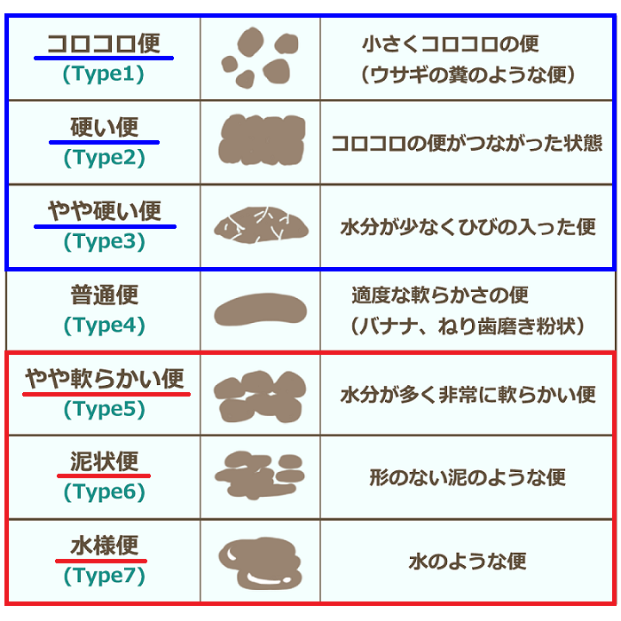 ブリストルスケール ブリストルスケール