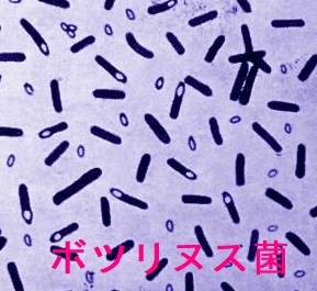 ボツリヌス菌 ボツリヌス菌