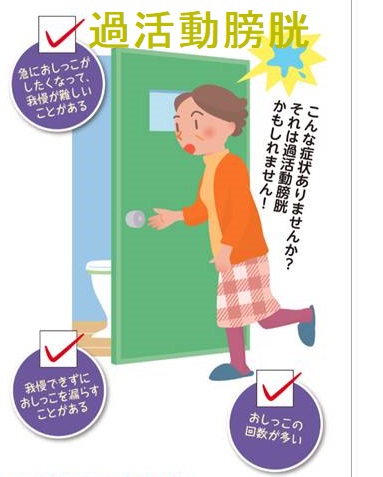 過活動性膀胱 過活動性膀胱