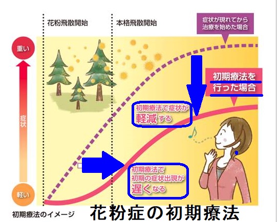花粉症の初期療法 花粉症の初期療法