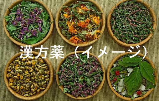 漢方薬(イメージ) 漢方薬(イメージ)