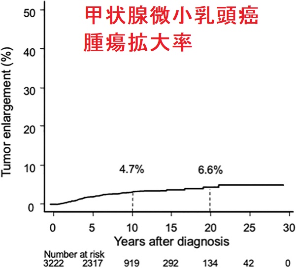 甲状腺微小乳頭癌 腫瘍拡大率 甲状腺微小乳頭癌 腫瘍拡大率