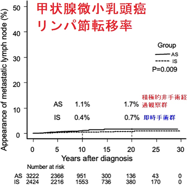 甲状腺微小乳頭癌 リンパ節転移率 甲状腺微小乳頭癌 リンパ節転移率