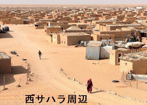 西サハラ周辺 ヨウ素(ヨード)過剰摂取地域 西サハラ周辺 ヨウ素(ヨード)過剰摂取地域