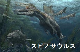 スピノサウルス スピノサウルス