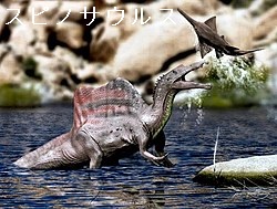 スピノサウルス スピノサウルス