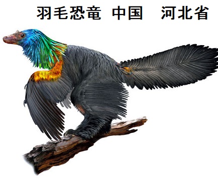 羽毛恐竜 中国 河北省 ヨウ素(ヨード)過剰摂取地域 羽毛恐竜 中国 河北省 ヨウ素(ヨード)過剰摂取地域
