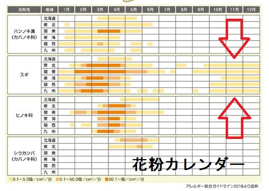花粉カレンダー 花粉カレンダー