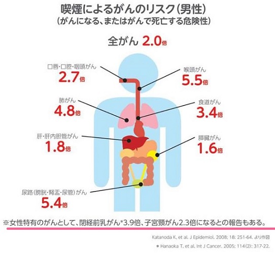 タバコの害 発癌 タバコの害 発癌