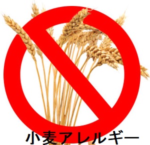 小麦アレルギー 小麦アレルギー