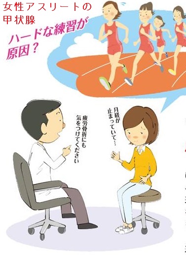 女性アスリートの甲状腺 女性アスリートの甲状腺